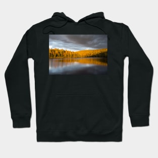 Golden light before storm Hoodie